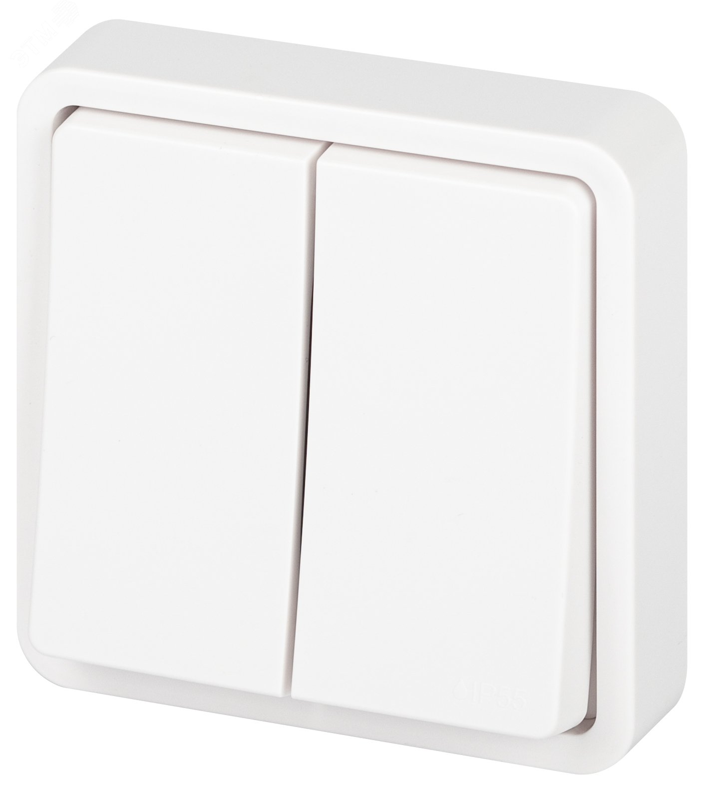 Изображение товара Выключатель двухклавишный IP55 скрытого монтажа белый Эра Эксперт 10А 250В