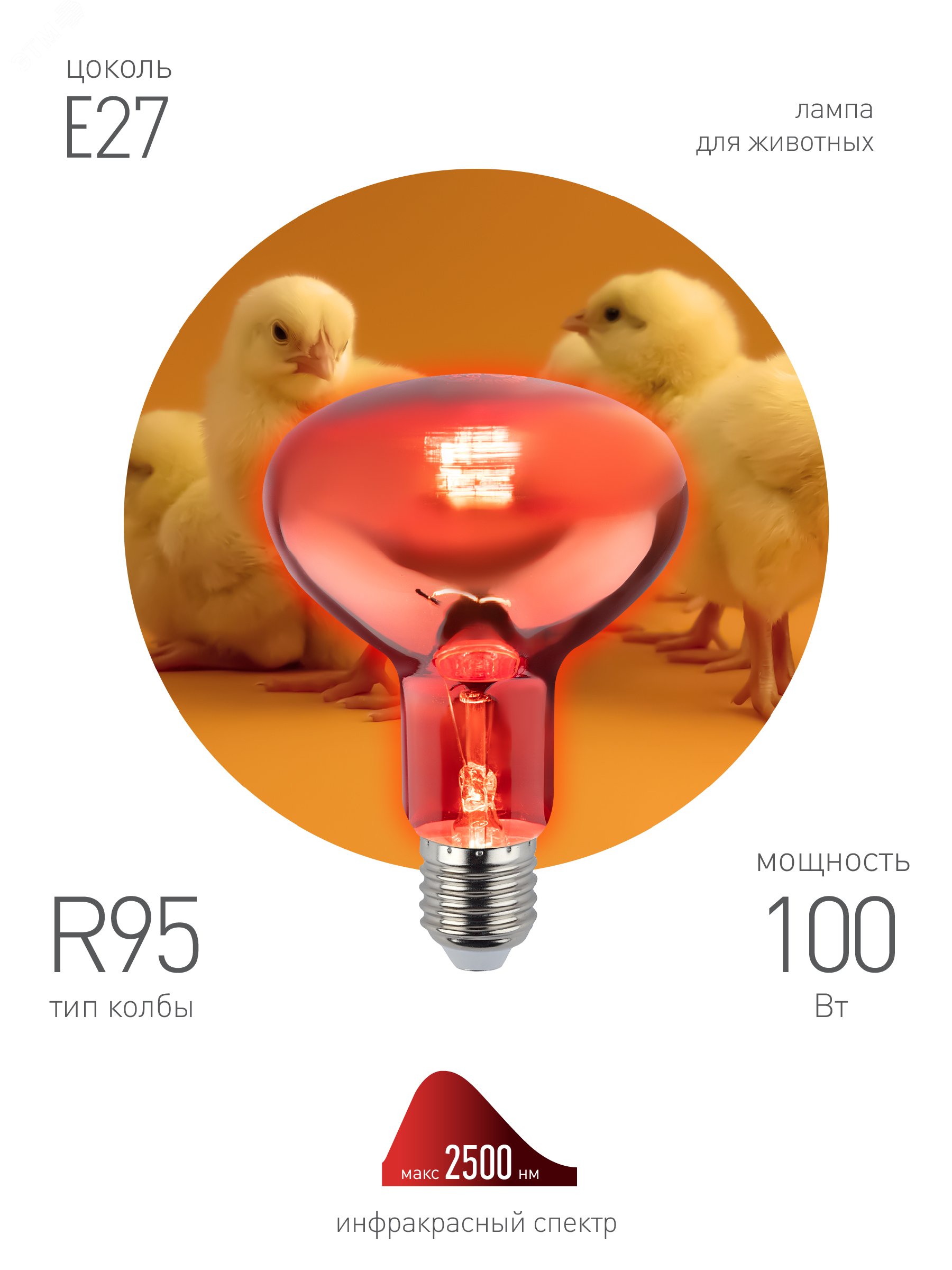 Инфракрасная лампа E27 для обогрева животных и освещения 100 Вт ИКЗК 230-100 R95 E27 Б0062000 ЭРА - превью 2