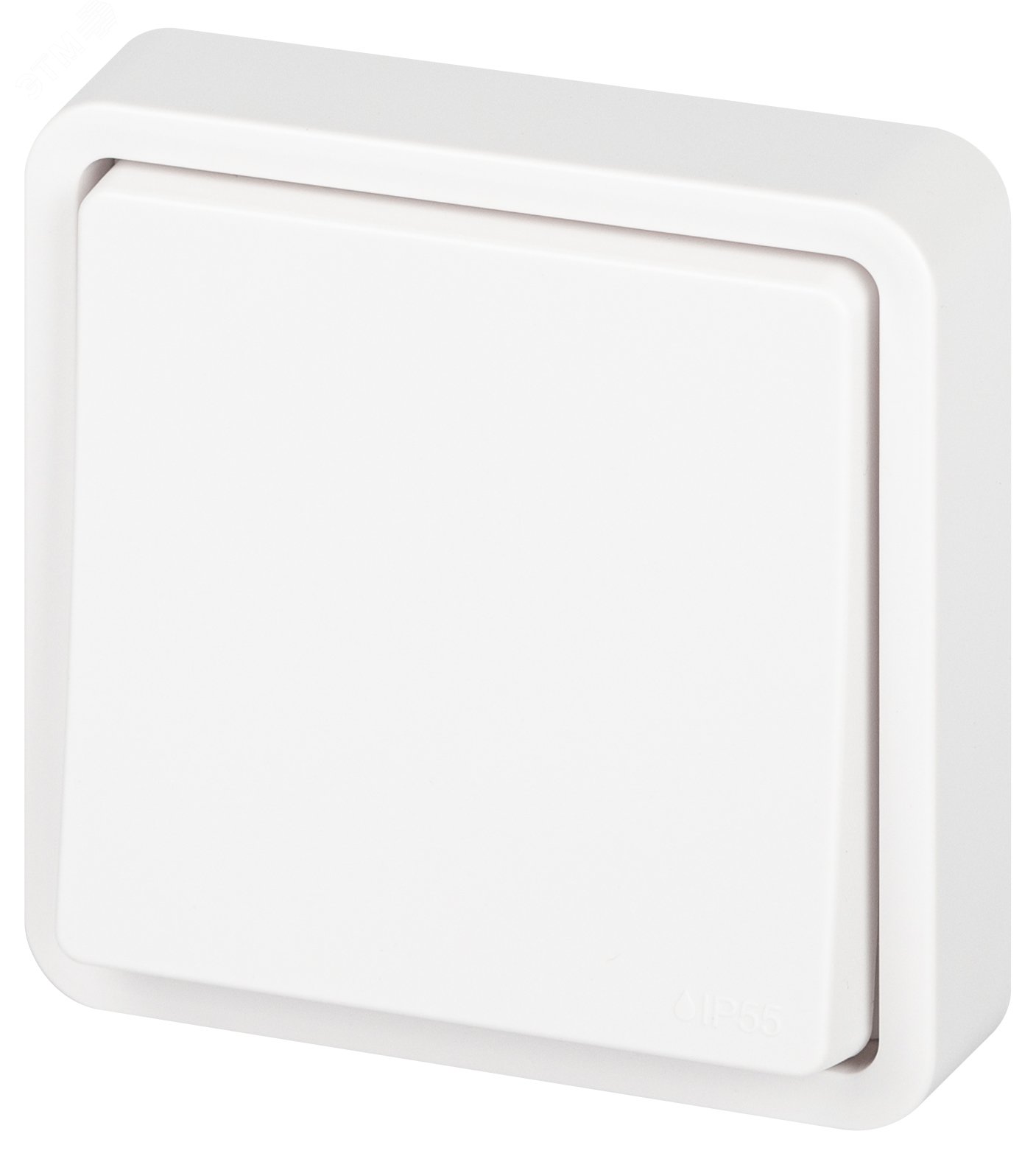 Изображение товара Выключатель одноклавишный скрытого монтажа IP55 белый 10А 250В винтовые зажимы ЭРА Эксперт 11-1521-01 (шт)