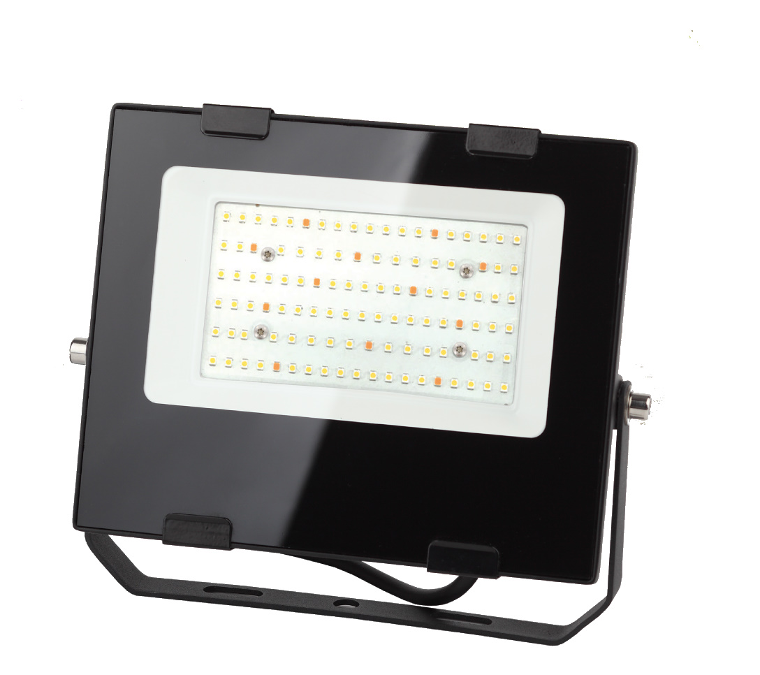 Прожектор светодиодный для цветения и плодоношения FITO-50W-Ra90-LED 10/300