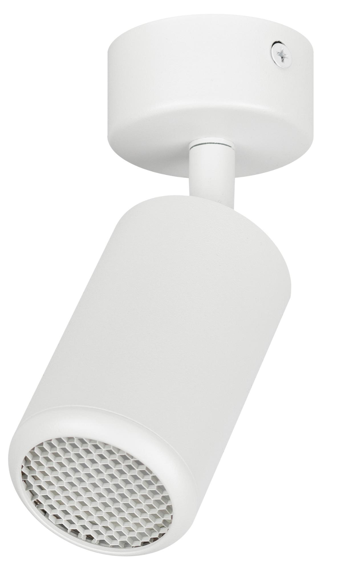 Светильник настенно-потолочный спот IP20 белый OL55 WH MR16 GU10