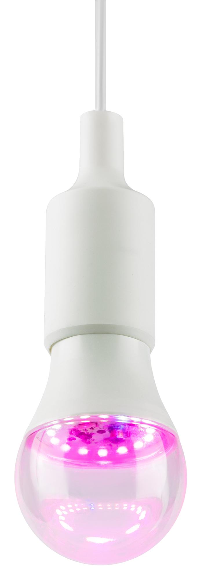 Фитолампа для растений светодиодная GREEN LINE ФИТО A60-15W-PL-E27-GR красно-синего спектра 15 Вт Е27