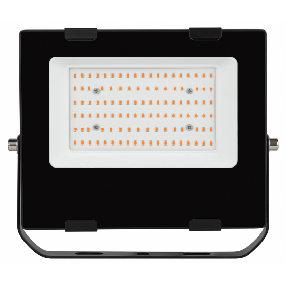 Прожектор красно-синего спектра FITO-100W-RB-LED