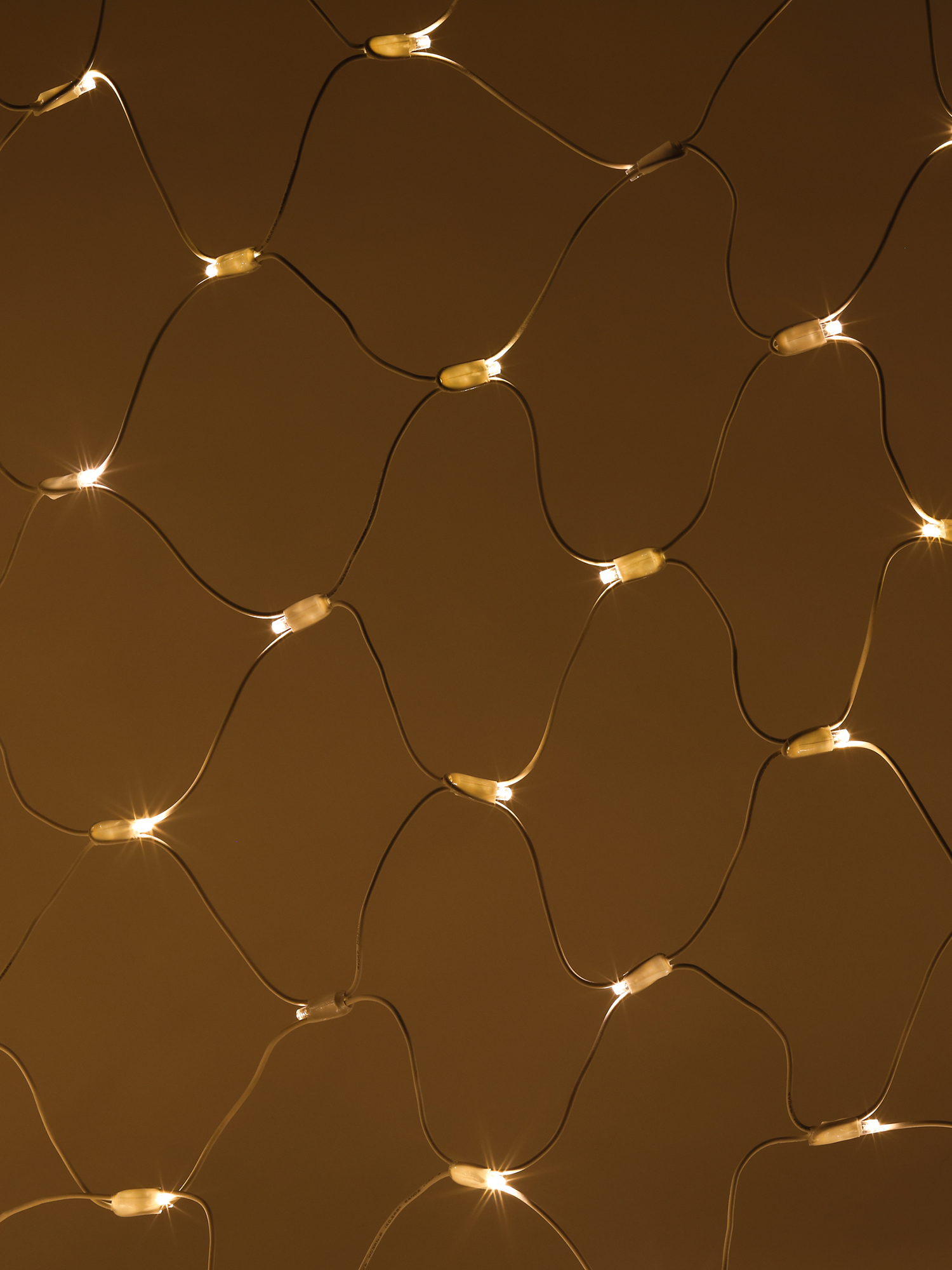 Гирлянда светодиодная новогодняя ERAPS-SK2 сеть 1,5x2 м теплый 150 LED