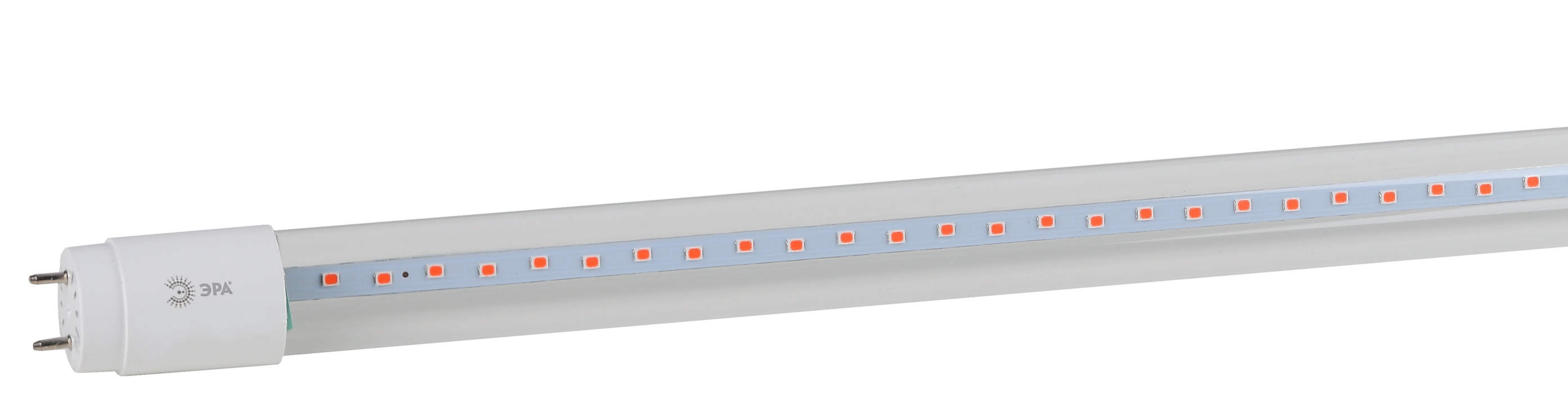 Фитолампа для растений светодиодная FITO-18W-RB-Т8-G13-NL и мясных прилавков 18 Вт Т8 G13 красно-синего спектра