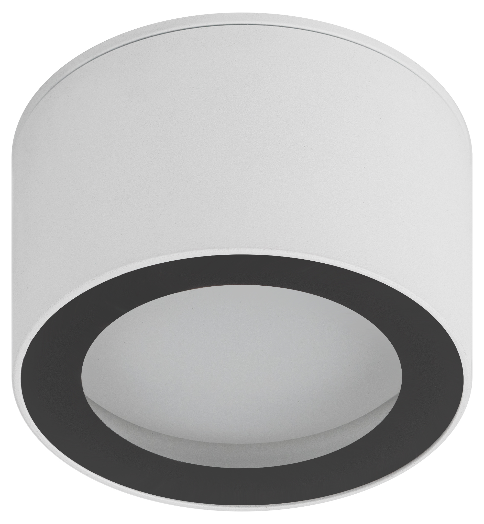 Светильник настенно-потолочный спот OL28 WH/BK GX53, черно-белый, IP44