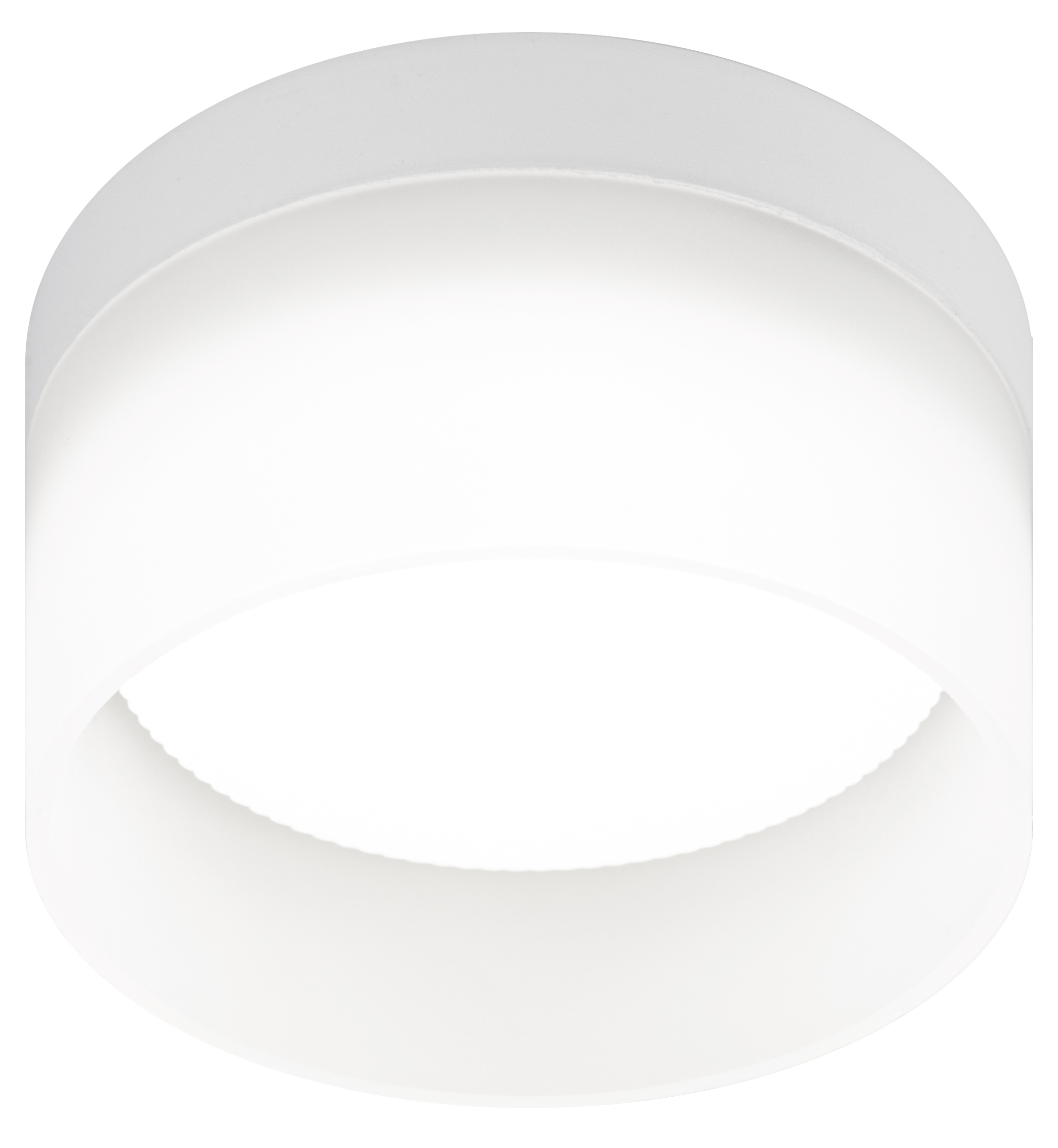 Светильник настенно-потолочный спот OL30 WH GX53 белый