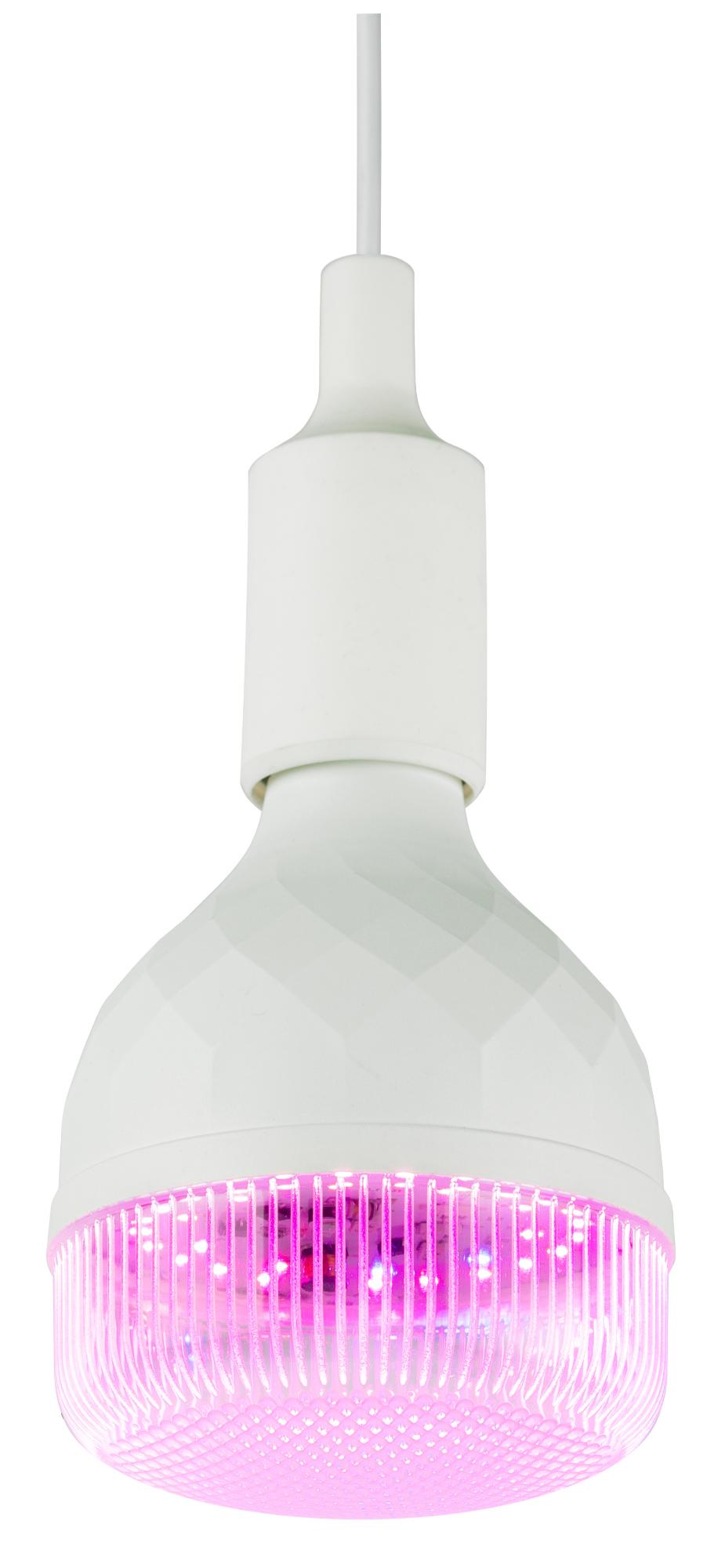 Фитолампа для растений светодиодная GREEN LINE ФИТО-35W-PL-E27-GR красно-синего спектра 35 Вт Е27