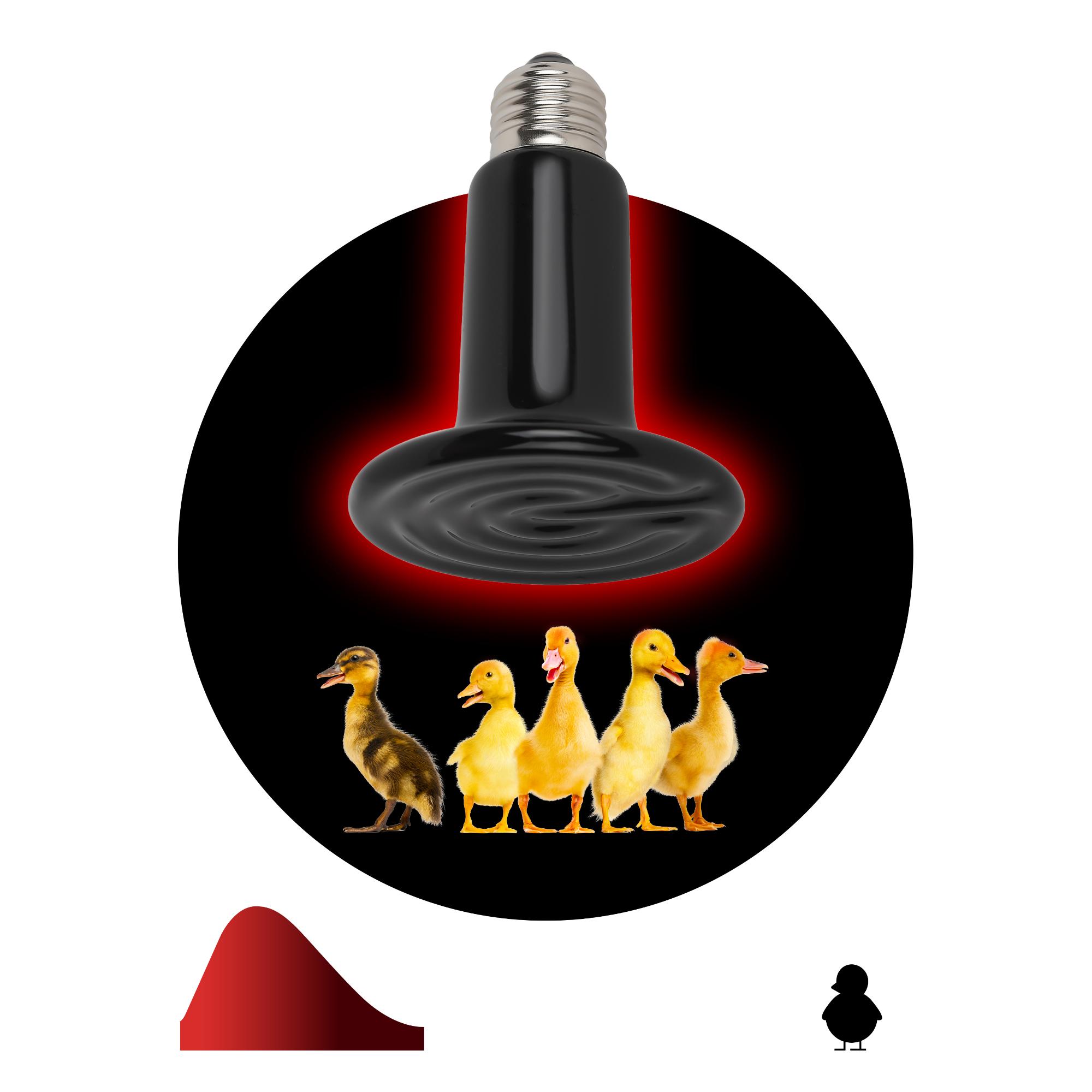 Лампа инфракрасная FITO-200W-НQ керамическая серии CeramiHeat модель RX для брудера, рептилий 200 Вт Е27