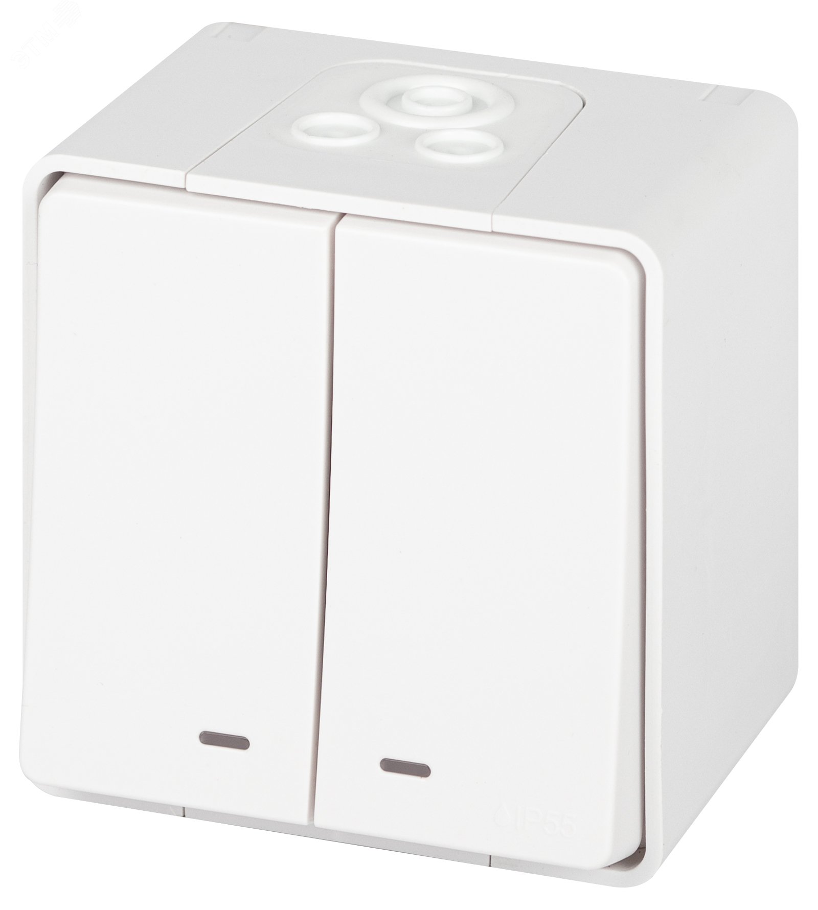 Изображение товара Выключатель двухклавишный наружный с подсветкой IP55 ЭРА Эксперт 11-1505-01