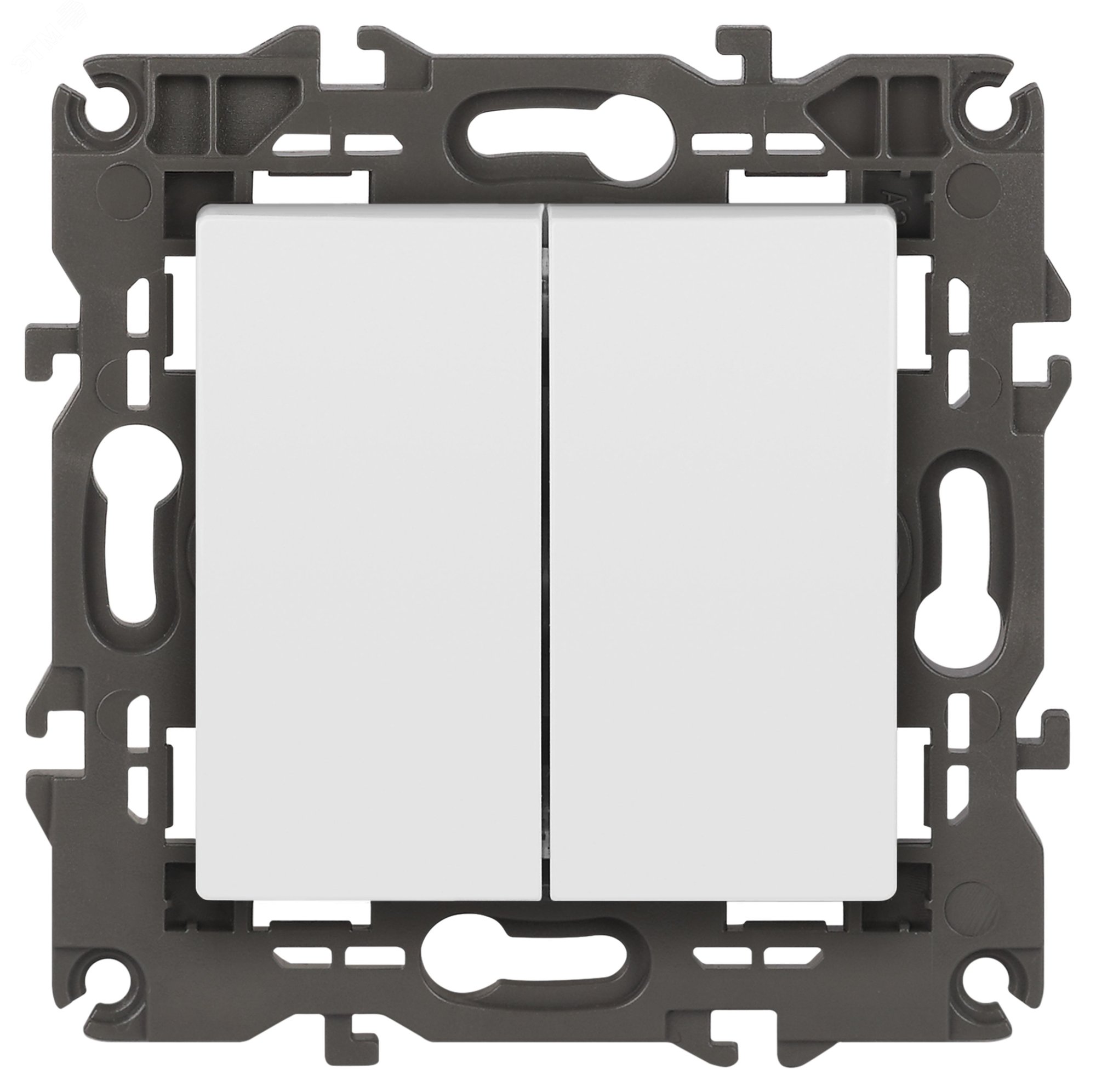 Изображение товара Выключатель двухклавишный, в рамку (скрытого монтажа) белый матовый 10А 250В автоматические (безвинтовые) зажимы ЭРА Elegance 14-1104-01М (шт)