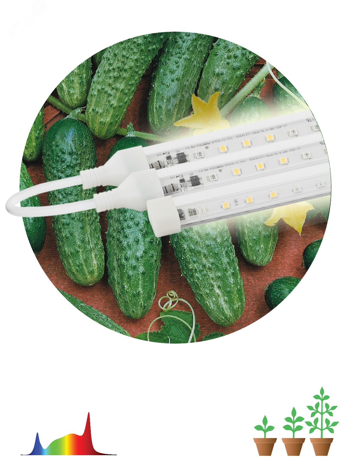 Модульный светильник для растений FITO-3х10W-LINE-Ra90 полного спектра 30 Вт Б0049315 ЭРА - превью 3