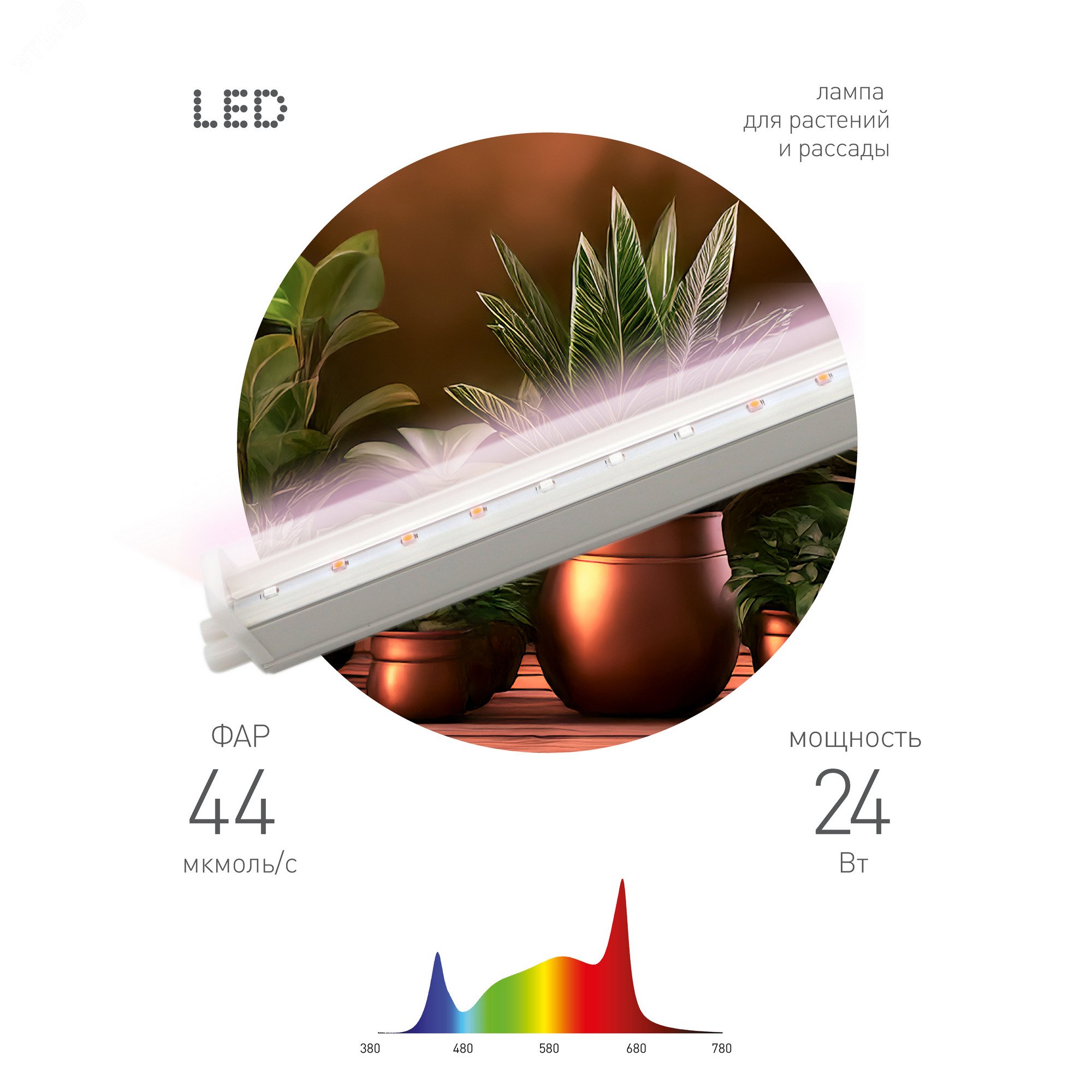Изображение товара Светильник для растений фитолампа FITO-24W-Ra90 24 Вт полный спектр