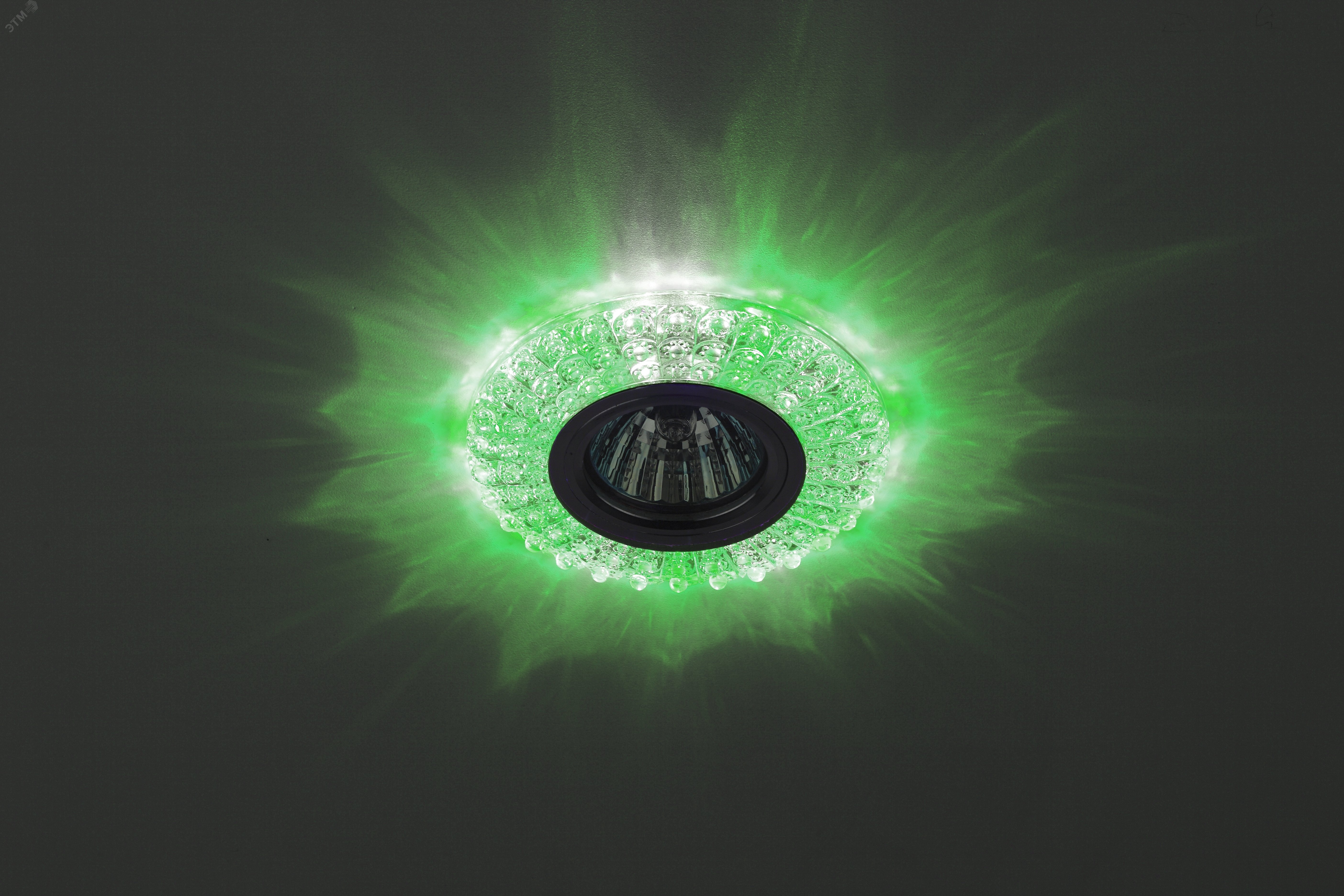 DK LD2 SL/GR+WH Точечные светильники декор cо светодиодной подсветкой (зеленый+белый), прозрачный Б0019199 ЭРА - превью 3
