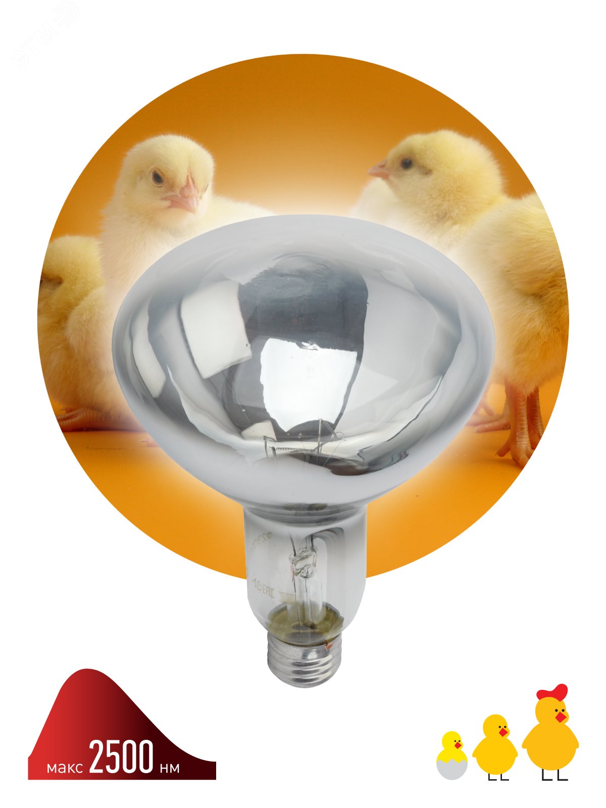 Инфракрасная лампа ИКЗ 220-250 R127 E27, кратность 1 шт., для обогрева животных и освещения, 250 Вт, Е27 Б0055440 ЭРА - превью 2