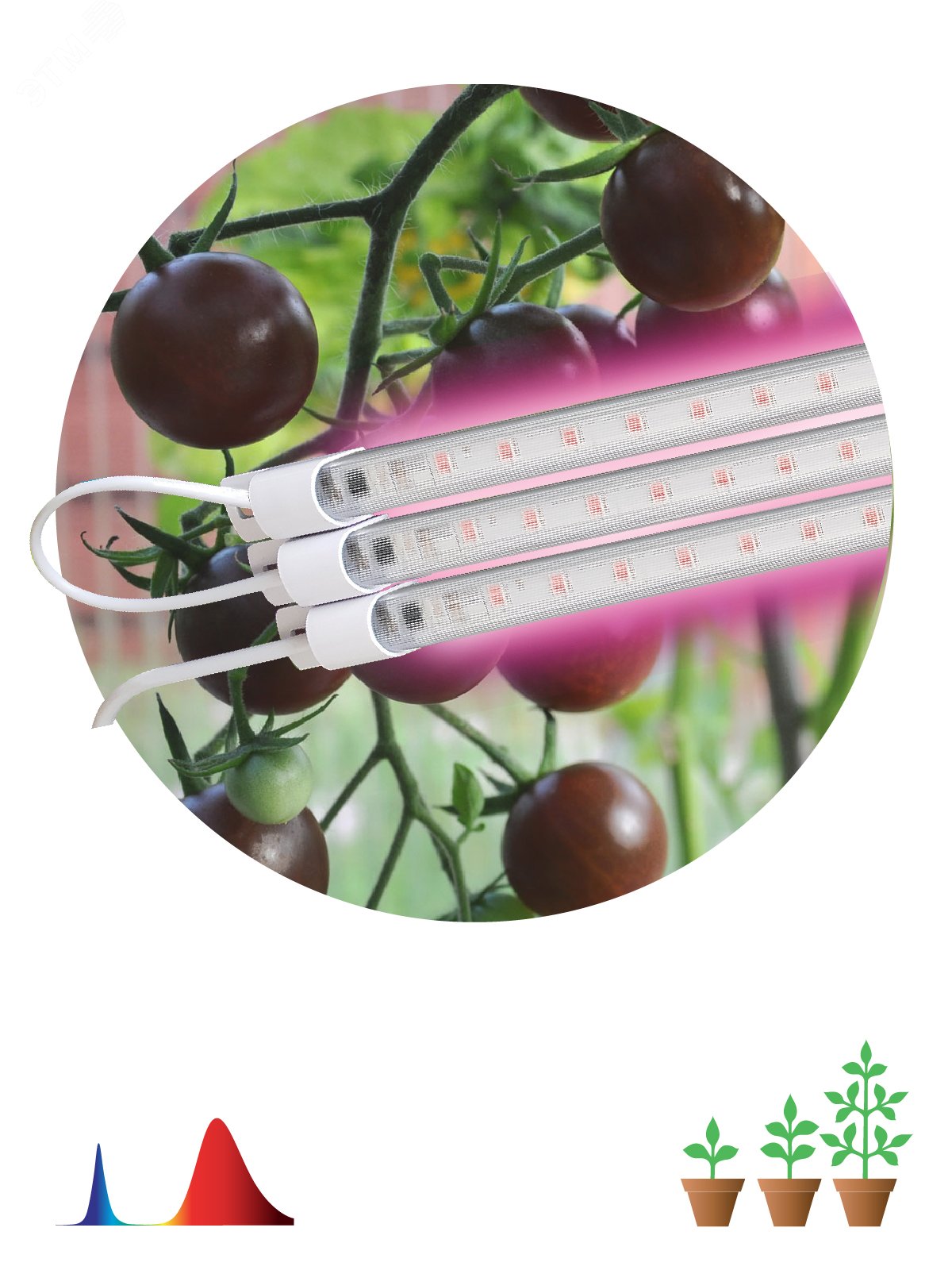 Модульный светильник для растений FITO-3х10W-LINE-RB90 красно-синего спектра 30 Вт Б0050924 ЭРА - превью 3