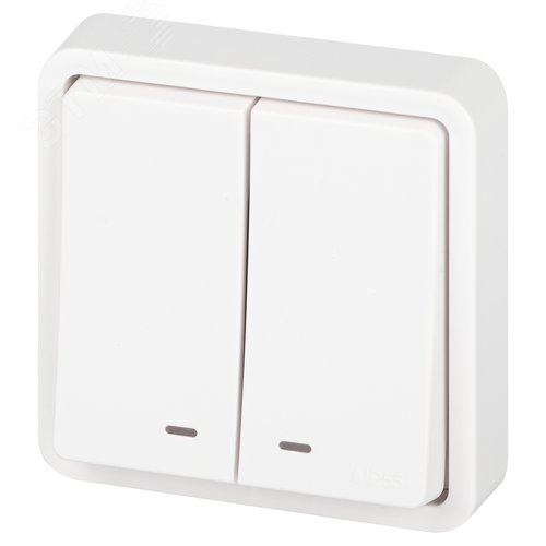 Изображение товара Выключатель Эксперт 11-1525-01 двойной с подсветкой IP55, 10АХ-250В, СУ, белый (шт)