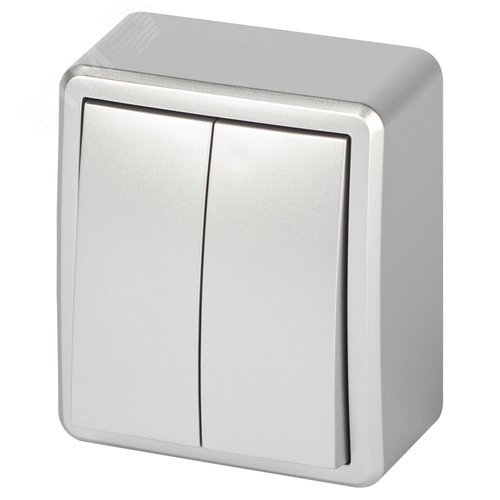 Изображение товара Выключатель двухклавишный наружный (открытой установки) IP 20 алюминий 10А 250В винтовые зажимы ЭРА Эксперт 11-1204-03 (шт)