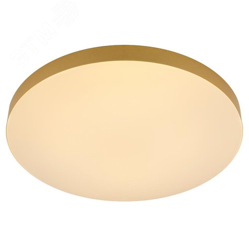 Светильник потолочный светодиодный Relict 48 Pult SPB-6-60-RC MG с ДУ 60Вт 3000-6500К Золото - фото 8