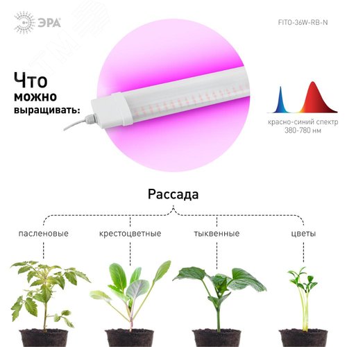 Светильник линейный красно-синего спектра FITO-36W-RB-N (10/240) - фото 9