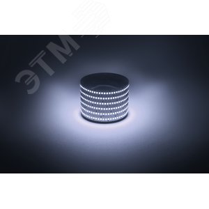Лента светодиодная 19,2Вт/м 12В 6500К IP20 240LED/м LS2835-19,2-240-12-6500K-IP20-1 year-5m - фото 2