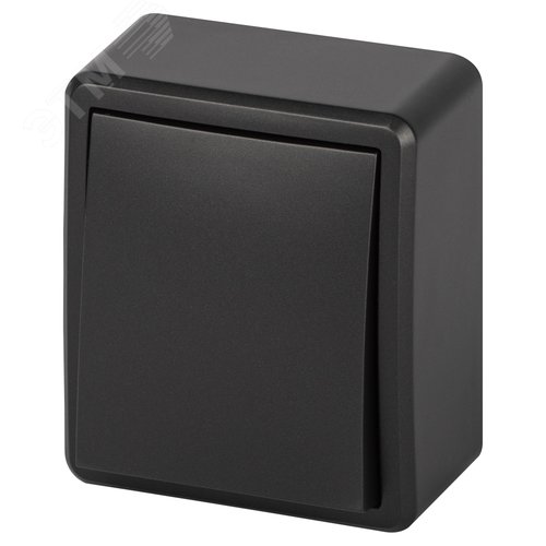 Изображение товара Выключатель одноклавишный наружный (открытой установки) IP 20 антрацит 10А 250В винтовые зажимы ЭРА Эксперт 11-1201-05 (шт)