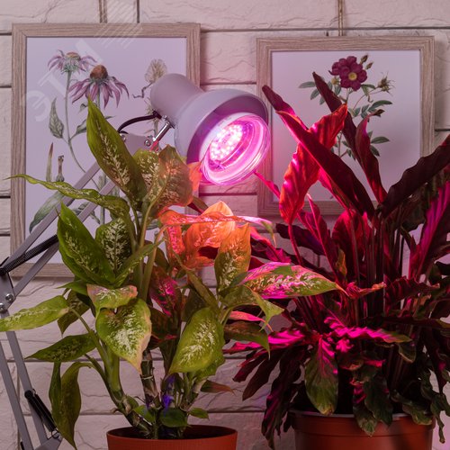 Лампа светодиодная лампа для рассады тип А60,FITO-16W-RB-E27-K 16 Вт, 220-240V - фото 10