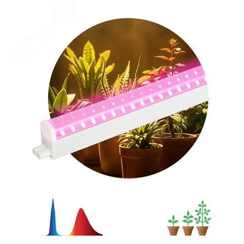 Светильник для растений, фитолампа светодиодная линейная FITO-18W-PL-LINE 573-GR красно-синего спектра 18 Вт Т5 - фото 12