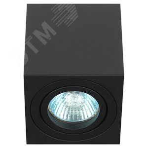 Светильник настенно-потолочный спот OL22 BK MR16/GU10, черный, поворотныйлампа MR16 ( в комплект не входит)