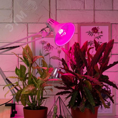 Лампа светодиодная лампа для рассады тип А60, 12 Вт, 220-240V FITO-12W-RB-E27-K - фото 7