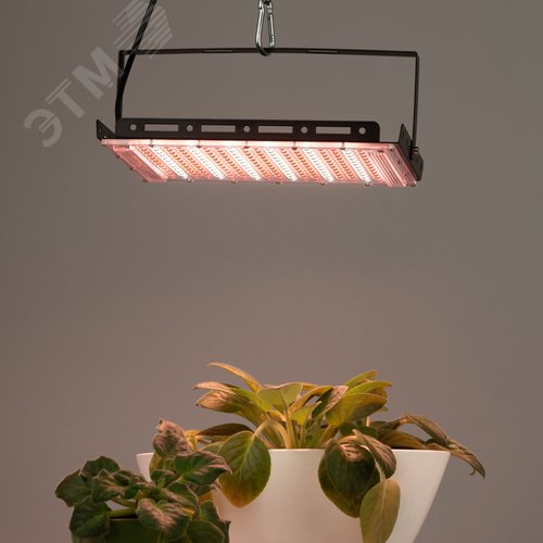 Фитопрожектор для растений светодиодный 200 Вт полного спектра FITO-200W-Ra90-LED-Y-GR GREEN LINE - фото 9