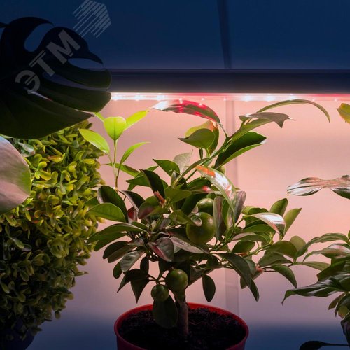 Светильник линейный полного спектра FITO-18W-T5-Ra90 - фото 11