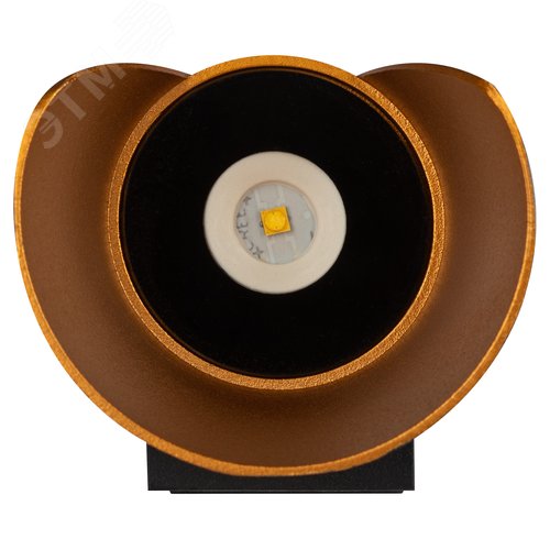 Подсветка декоративная WL42 BK+GD светодиодная 6Вт 3500К черный/золото IP54 для интерьера, фасадов зданий - фото 4