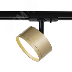 Трековый светильник TR48 - GX53 MG однофазный под лампу GX53 матовое золото под лампу GX53, лампа в комплект не входит Б0054160 ЭРА