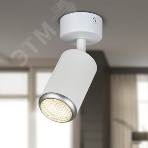 Светильник настенно-потолочный спот IP20 белый/серебро OL55 WH/SL MR16 GU10 - фото 2