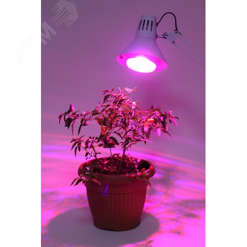 Лампа светодиодная лампа для рассады тип А60,FITO-16W-RB-E27-K 16 Вт, 220-240V - фото 7