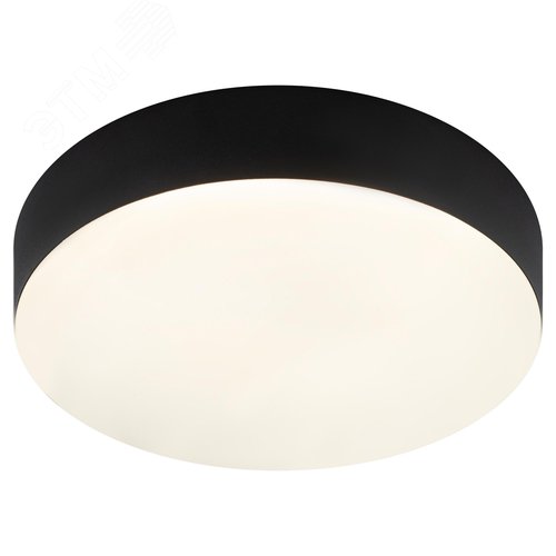 Светильник потолочный светодиодный Relict 22 SPB-6-20 4К BK 20W 4000K Черный - фото 3