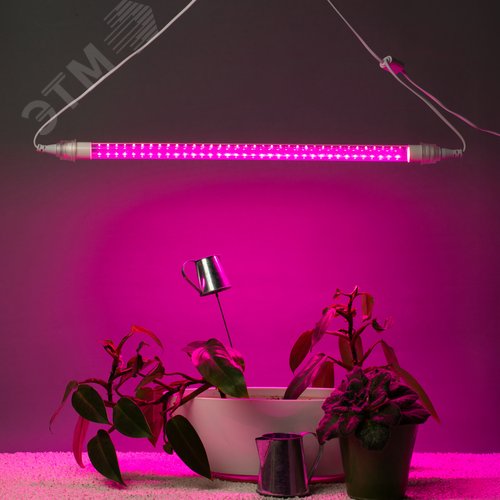 Светильник для растений, фитолампа светодиодная линейная FITO-9W-Rb-Т8+FITO-Holder IP65 2хG13 с выключателем, 1.5м - фото 12