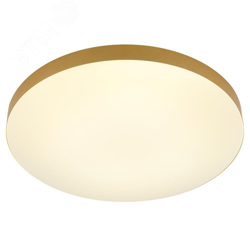 Светильник потолочный светодиодный Relict 48 Pult SPB-6-60-RC MG с ДУ 60Вт 3000-6500К Золото - фото 7