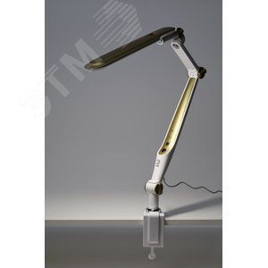 Светильник настольный светодиодный NLED-496-12W-G на струбцине золото - фото 4