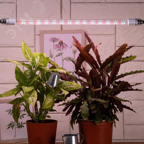 Лампа светодиодная полноспектральная Т8 с красными и белыми светодиодами для профессионального выращивания растений FITO-9W-Ra90-Т8-G13-NL - фото 11