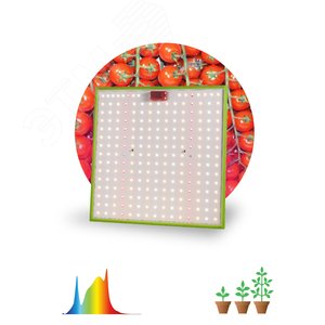 Фитопрожектор для растений светодиодный FITO-80W-LED-QB Quantum board Б0053285 ЭРА