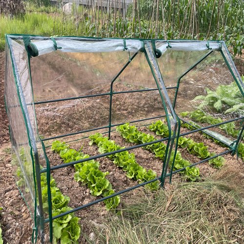 Теплица FITO-House-medium со светильником в комплекте 1800х900х900 мм 2 отсека - фото 7