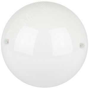 Светильник антивандальный 12 Вт 1000 Лм 4000К 80Ra IP54 220х220х105 матовый Сириус ДБП 06-12-012 - фото 1