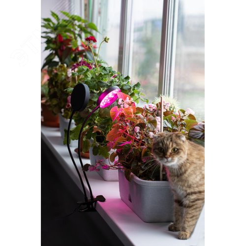 Светильник для растений на прищепке FITO-20W-АLED-R красно-синего спектра 20 Вт черный - фото 9