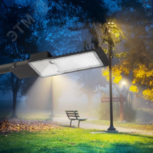 Светильник уличный светодиодный ДКУ 80Вт 5000К 8000Лм IP65 КСС Ш 48мм SPP-503-0-50K-080 - фото 8