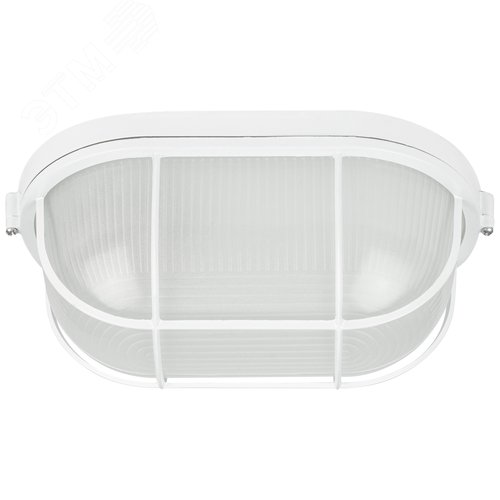 Светильник светодиодный НБП 04-100-002 100Вт, Е27, 220В, IP54, УЗ 8/144 - фото 2