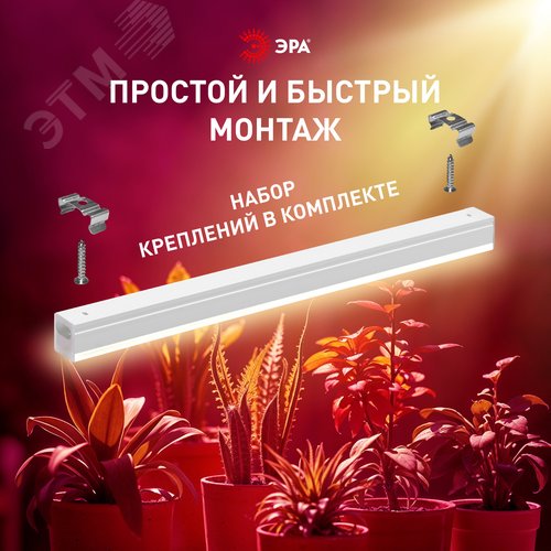 Светильник для растений, фитолампа светодиодная линейная FITO-18W-PL-LINE 573-GR красно-синего спектра 18 Вт Т5 - фото 17