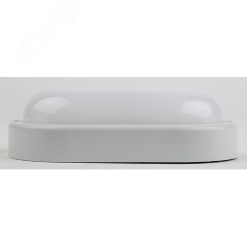 Светильник светодиодный SPB-202-0-65К-015 IP65 15 Вт 6500К овал 40/840 - фото 3