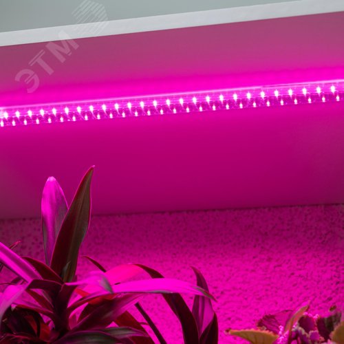 Светильник для растений, фитолампа светодиодная линейная FITO-10W-Т5-RB-Slim красно-синего спектра 10 Вт Т5 - фото 6